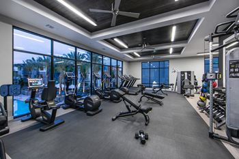 fitness center at Pulse